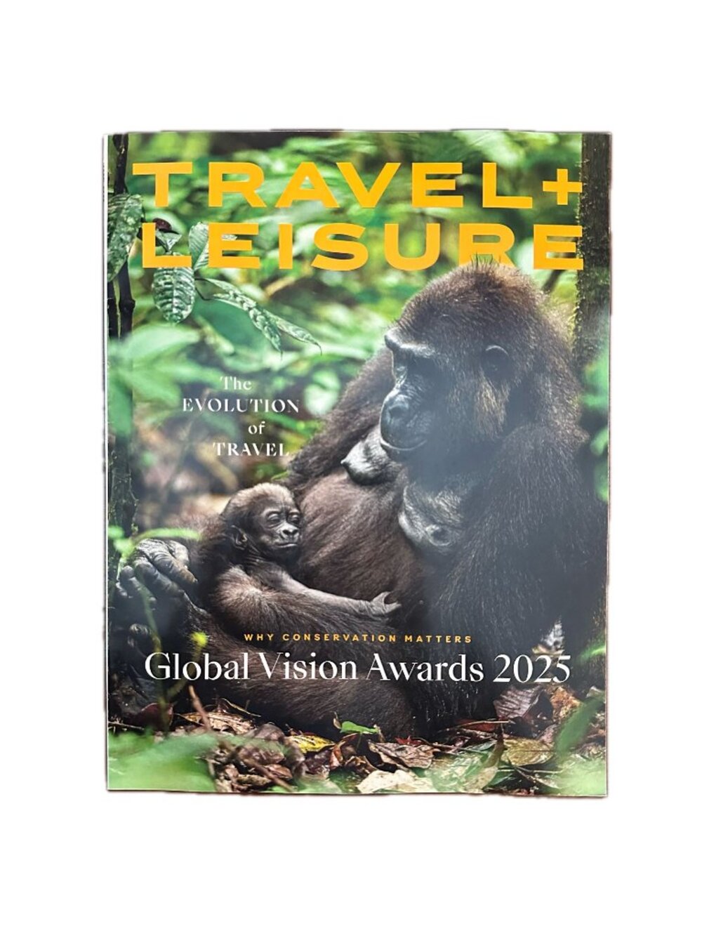 Travel and Leisure Magazine April 2025 Evolution of Travel Global Vision Awards